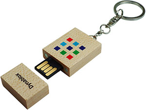 ECO- WOOD USB Stick