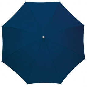 0103290_umbrella