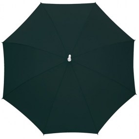 0103293_umbrella