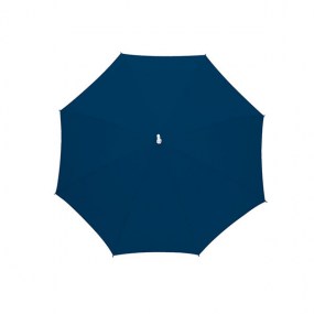 0103310_umbrella