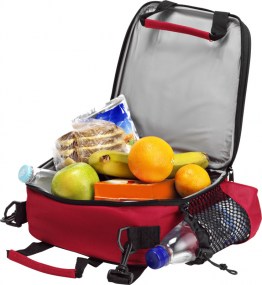 7535_foto-2-polyester-600d-cooler-bag-low-resolution